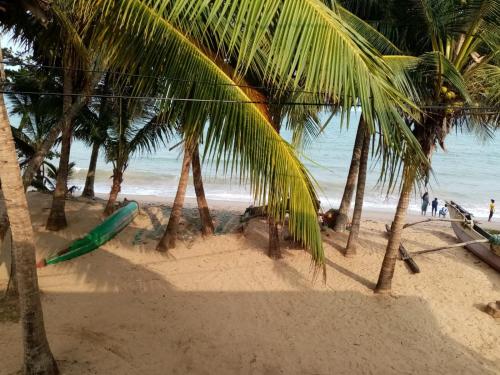 a beach with palm trees and a green surfboard on it at Sun Sea Family House Tangalle in Tangalle