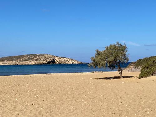 a tree on a sandy beach next to the water at George's Traditional House in Agios Georgios