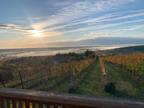 a view of a vineyard with the sun setting in the background at Kellerstöckl Weinblick I und II in Eisenberg an der Pinka