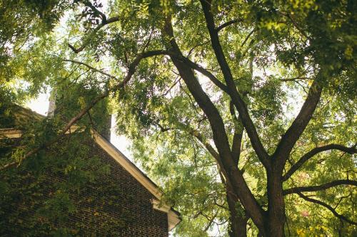 a brick building with a tree in front of it at Morris House Hotel in Philadelphia