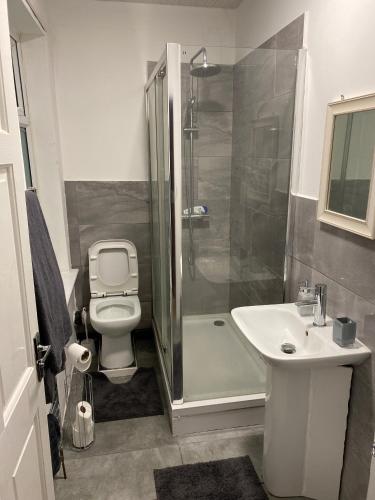 a bathroom with a shower and a toilet and a sink at Lovely 2 Bedroom Apartment with free parking in Manchester