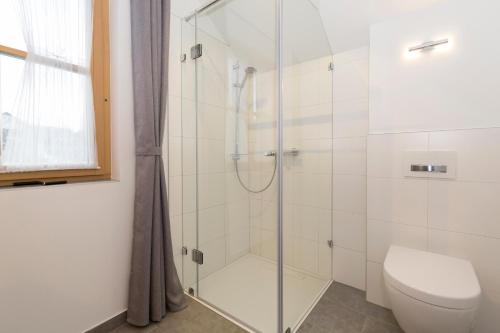 a bathroom with a shower and a toilet at Kellerstöckl Weinblick I und II in Eisenberg an der Pinka