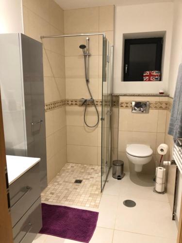 łazienka z prysznicem i toaletą w obiekcie Ain’Time w mieście Biziat
