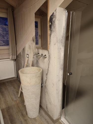 a bathroom with a bucket in the corner of a shower at Sweet Dolomites Sauna & Jacuzzi in Agordo