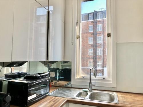 eine Küche mit einem Waschbecken und einem Fenster in der Unterkunft Bright one bedroom apartment in Chiswick in London