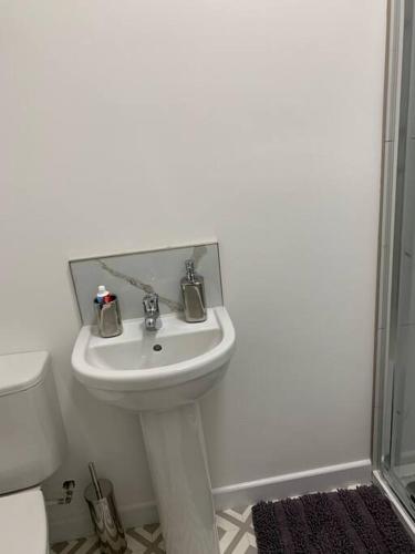 a bathroom with a white sink and a toilet at City Blessed Aptm 3 with Free Parking in North Shields