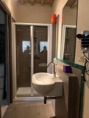 a bathroom with a sink and a glass shower at Agriturismo Borgo Pirolino in Orvieto