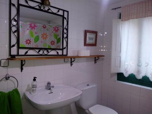 een badkamer met een wastafel, een toilet en een spiegel bij Cal Gallo (Vivienda Vacacional) in Riosa