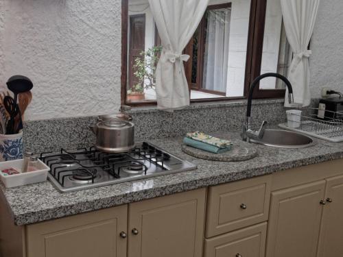 a kitchen counter with a stove and a sink at Apartamentos Otorongo Cuenca Ecuador in Cuenca