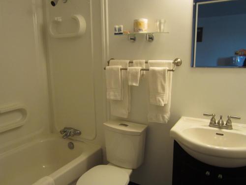 Łazienka z białą toaletą i umywalką w obiekcie Nisutlin Trading Post Motel w mieście Teslin