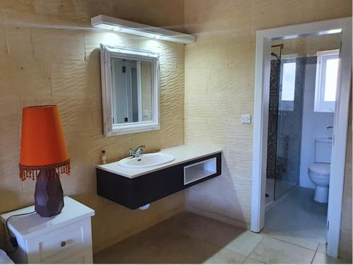 A bathroom at Petra Farmhouse B&B