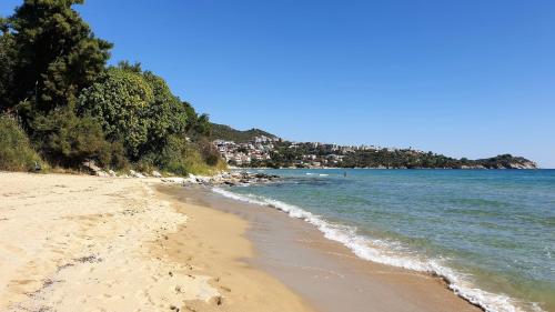 a sandy beach with trees and the ocean at Alma Maisonette in Kavala