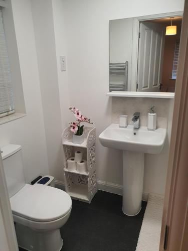a white bathroom with a toilet and a sink at The Joyland House in Romsey