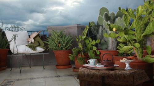 a room filled with lots of potted plants and a chair at Kkala Boutique Hotel in Salta