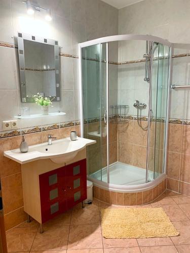 W łazience znajduje się prysznic, umywalka i wanna. w obiekcie Nathalie Leser w Baden-Baden