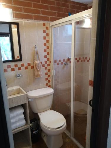 a bathroom with a toilet and a shower at Cabañas Walddorf - Alcatraz in Atemajac de Brizuela