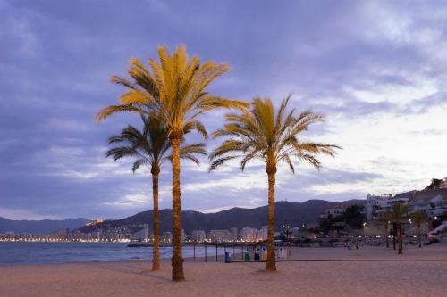 three palm trees on a beach near the water at Hotel L'Escala in Cullera