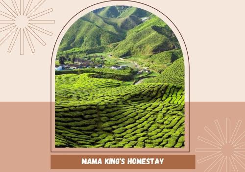 a window with a view of a tea plantation at Mama King’s Homestay@ Palas Horizon in Brinchang