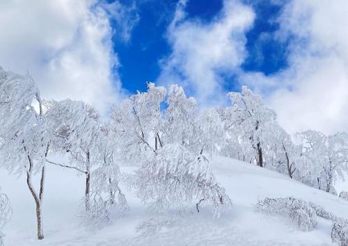 a group of trees covered in snow on a mountain at Nabekura Kougen Mori-No-Ie in Iiyama