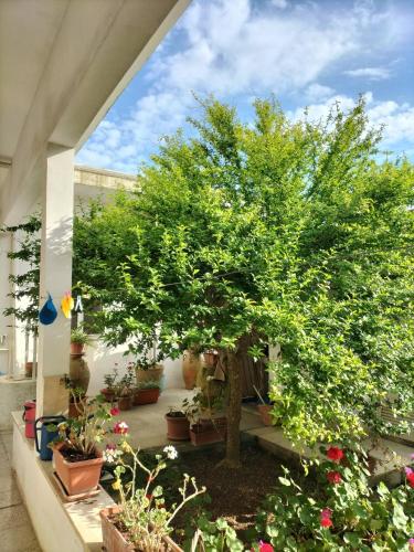 Guest House SalentoJoy – Photos 2
