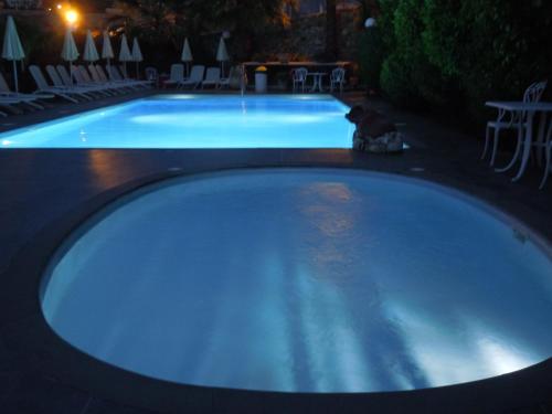 a dog sitting in a swimming pool at night at Hotel Due Mari in Sestri Levante