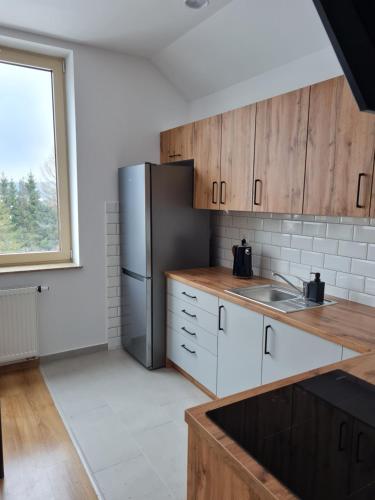 a kitchen with a stainless steel refrigerator and a window at Apartamenty Pod Dachem in Lutowiska