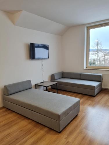 a living room with a bed and a couch at Apartamenty Pod Dachem in Lutowiska