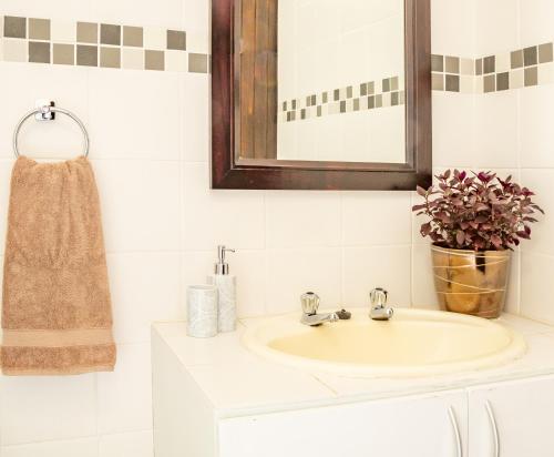 a bathroom sink with a mirror and a potted plant at Klein Plekkie Self Catering Accommodation in Addo