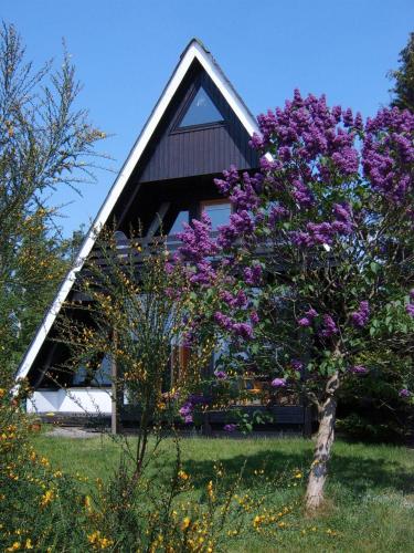 Taman di luar Aarhus