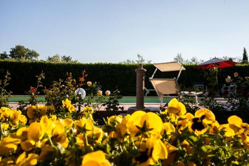 a bunch of yellow flowers in a garden at Casa Biagiotti in Cortona