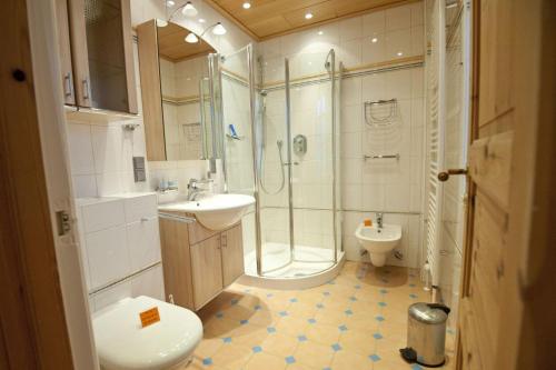 a bathroom with a shower and a toilet and a sink at Schlei-Garten in Ulsnis