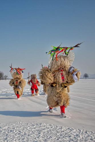 a group of teddy bears walking in the snow at Apartment Luna in Ptuj