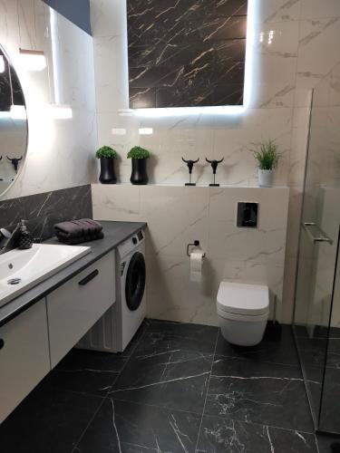 a bathroom with a toilet and a sink and a washing machine at Apartament Blue Sky in Lubin
