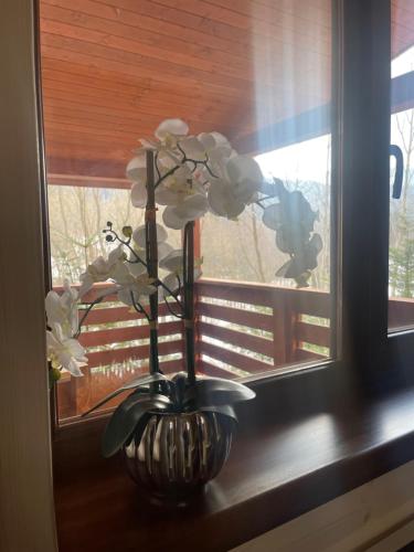 a vase with white flowers sitting on a window sill at Villa Затишна de luxe in Mykulychyn