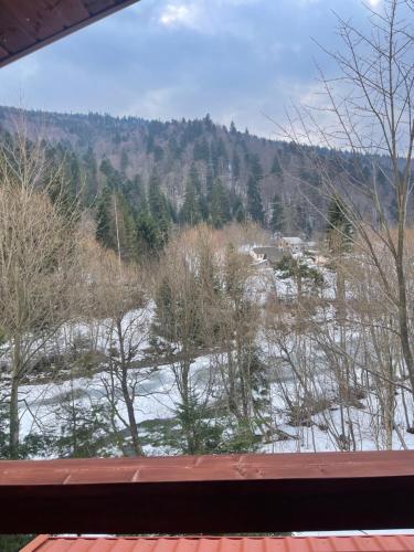 a view of a snow covered field from a window at Villa Затишна de luxe in Mykulychyn