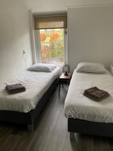 two twin beds in a room with a window at De Deelderij in Schoonloo