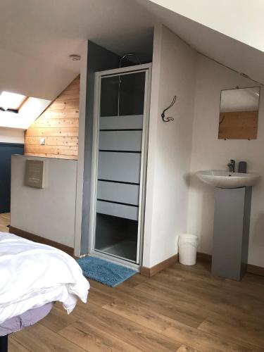 - une chambre avec une douche et un lavabo dans l'établissement Maison de pêcheurs, à Saint-Quay-Portrieux