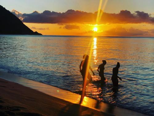 a group of people standing on the beach at sunset at Vue Mer/3Beds/Piscine/wifi/900 mètres de la plage in Deshaies