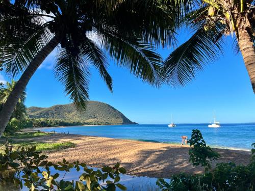 a beach with two palm trees and the ocean at Vue Mer/3Beds/Piscine/wifi/900 mètres de la plage in Deshaies