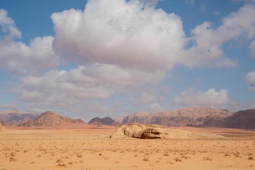 a desert with a rock in the middle of a field at Wadi Rum Nights in Wadi Rum