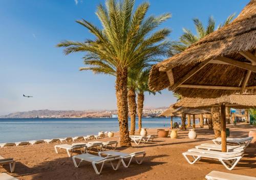 a beach with chairs and palm trees and the ocean at Melio Hotel Eilat in Eilat