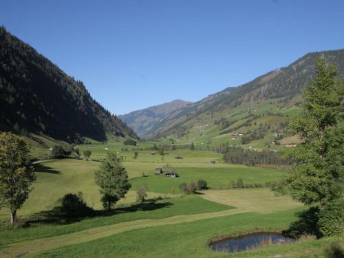 ラウリスにあるTranquil Apartment in Rauris near Rauriser Hochalmbahnenの木山を背景にした緑地