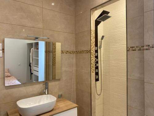 une salle de bain avec un lavabo et une douche avec un miroir dans l'établissement Superbe appartement pour 4 personnes, à Boujan-sur-Libron