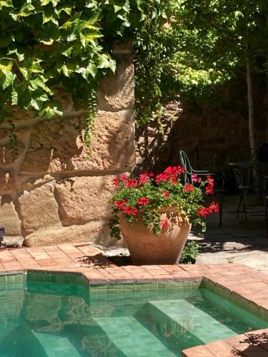 una maceta de flores rojas junto a una piscina en La Casa del Bosque, en Cabra de Mora
