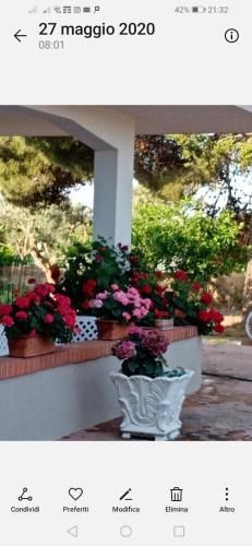 Сад в La dimora di Nonno Nuccio