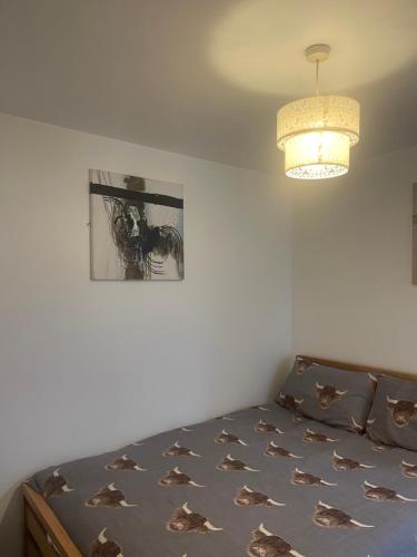 um quarto com uma cama e um lustre em 2 Bed Flat Right in Centre of Portrush town em Portrush