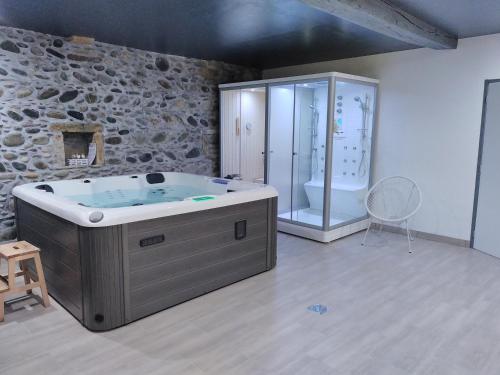 ein großes Bad mit einer Badewanne und einer Dusche in der Unterkunft Gîte château d'Espalungue, piscine et SPA in Dognen
