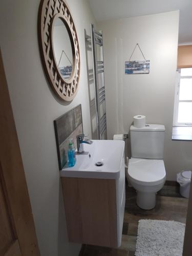 a bathroom with a toilet and a sink and a mirror at 'Stokoe Cottage' in Alston