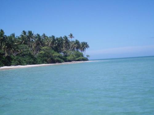 a beach with a bunch of trees and blue water at Dendê Loft in Ilha de Boipeba