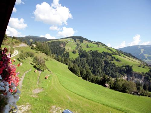 a view of a green hill with trees on it at Spacious Apartment in Sankt Johann im Pongau with Garden in Wagrain